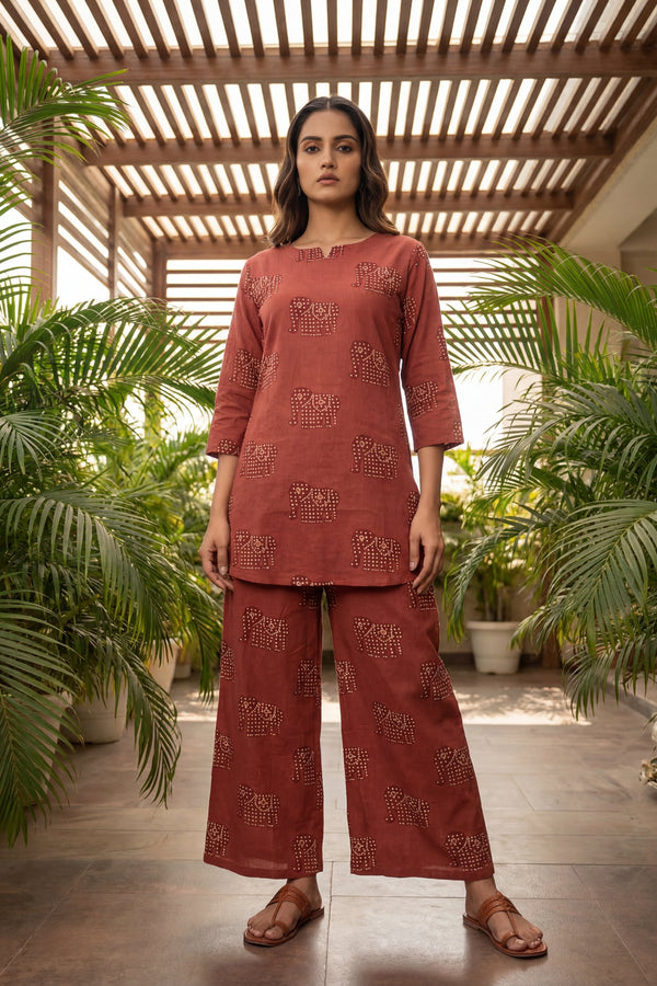 Terracotta Radiance Co-ord Set
