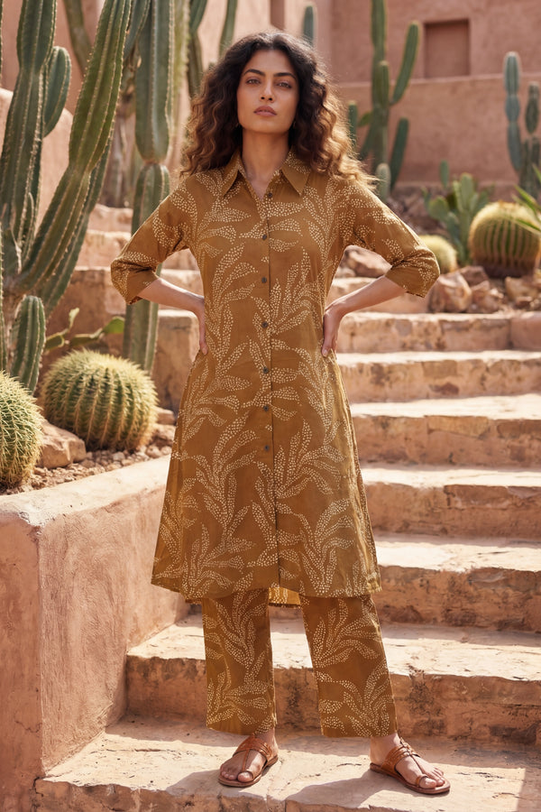 Warm Canvas Brown Cotton Co-ord Set